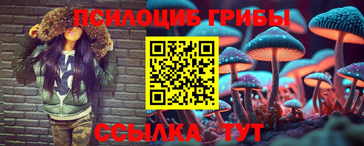цена   Вход с VPN  Бугульма  Псилоцибиновые грибы ЛСД  Псилоцибиновые грибы ЛСД 