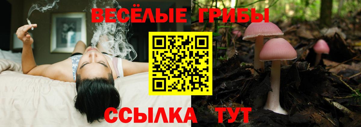 Галлюциногенные грибы мухоморы  где купить наркоту  Бугульма 